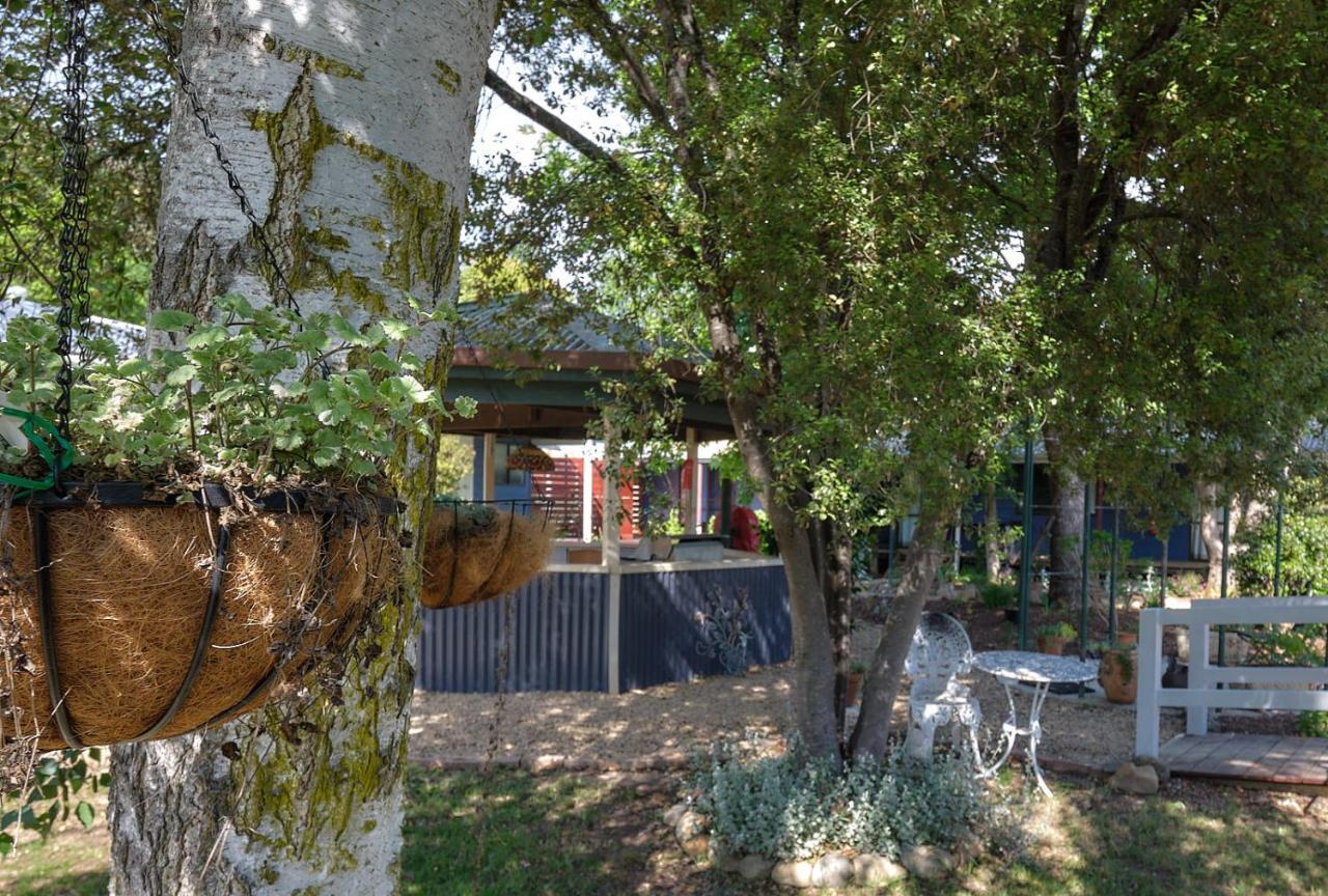 ホテル Edlin House ブライト エクステリア 写真